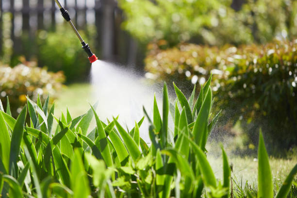 Tamper-Resistant Bait Stations for Rodents in Lake Arthur