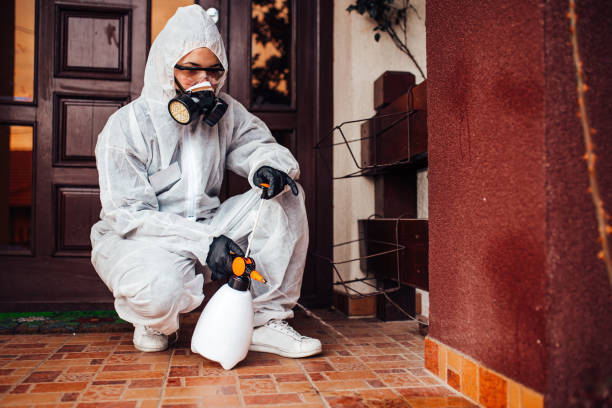 Attic and Crawl Space Rodent Treatment in Lake Arthur