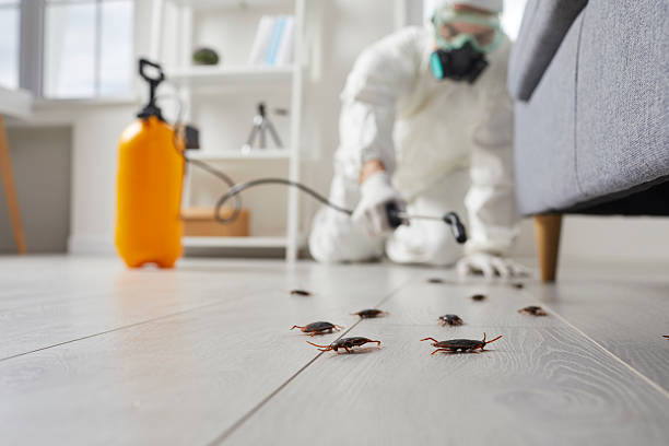 Commercial Rodent Management in Lake Arthur